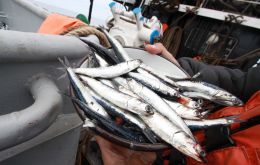 “Es probable que el desembarque de anchoveta alcance el millón de toneladas en abril, lo que aportaría alrededor de 1 punto porcentual al PBI”, señala el reporte.