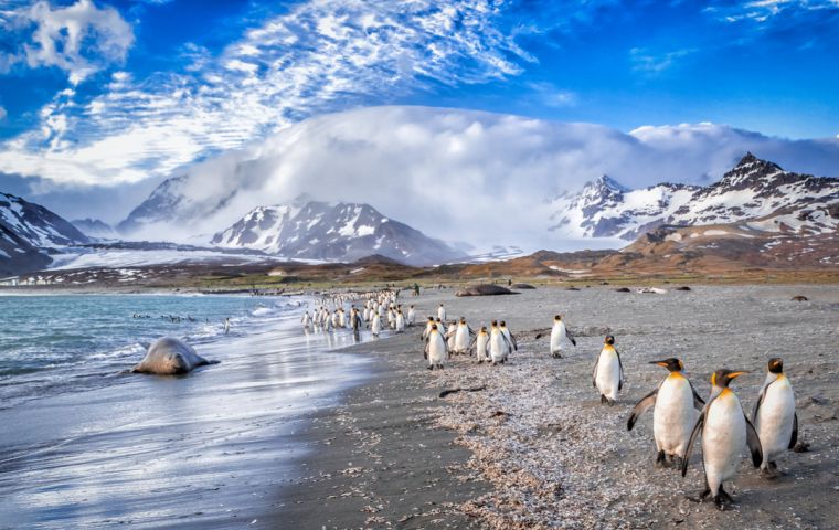 A diferencia de Falkland Islands Tourist Board, FITA se trata de una organización de membrecía abierta a todos aquellos con intereses en la industria del turismo