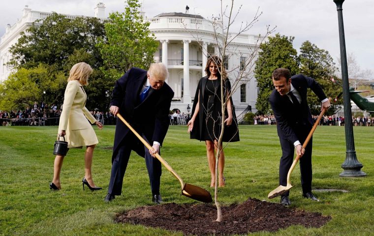 Acompañados por las primeras damas, Briggite Macron y Melania Trump, ambos jefes de Estado plantaron un roble proveniente del bosque del norte de Francia