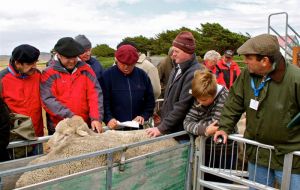 Un grupo de productores uruguayos visitaron las Islas y a partir de allí se convirtieron en importadores de lanas de la FHL