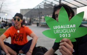 Canadá se convertirá en el primer país del G7 en autorizar el uso recreativo de esta droga y el segundo del mundo después de Uruguay.