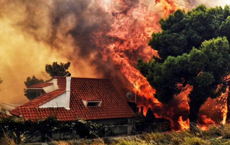 En Grecia la sequía y el calor contribuyeron a fuegos forestales que se teme puedan acabar con la vida de un centenar de personas y villas convertidas en cenizas.