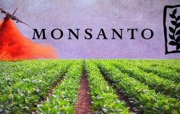Monsanto actuó con “malicia” y su herbicida RoundUp, y su versión profesional RangerPro, contribuyeron “sustancialmente” a la enfermedad terminal de Johnson