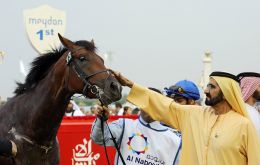 El gobernante de Dubai demoró poco en gastar las sumas dinero que lo convirtieron durante años en el rey del mercado de los caballos de carreras 
