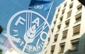 En los últimos 10 años, la UE ha aportado más de 1500 millones de euros (más de 1700 millones de dólares) a los programas y proyectos de asistencia de la FAO en el mundo. 