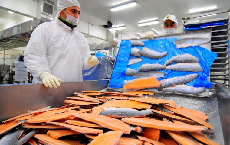 Los envíos de salmón a Asia se han duplicado en 2018, en comparación con el año anterior.