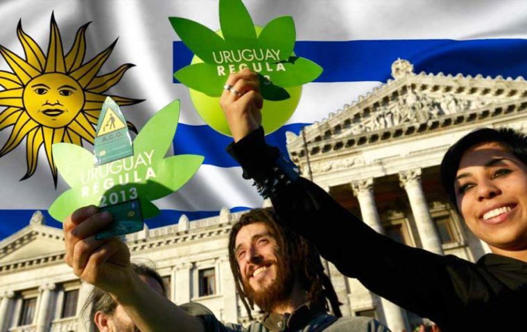 Uruguay fue el primer país en legalizar la marihuana en 2013