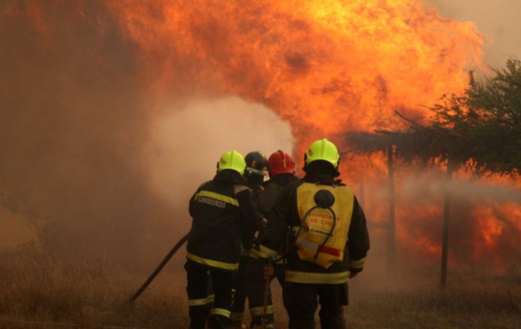 Las autoridades informaron que se registran 21 incendios “relevantes” activos, afectando en su mayoría a la Región de La Araucanía, Los Ríos y Los Lagos. 