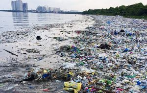 Un informe reciente elaborado por el movimiento “Free from Plastic”, reveló que los 8.300 millones de toneladas de plástico producidas desde 1950 todavía perduran