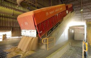 Argentina ya exportó alrededor de 150.000 toneladas de maíz y 180.000 toneladas de trigo a México en diciembre y enero 