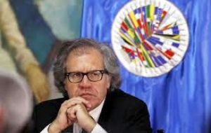 Bergamino fue muy crítico del Secretario General de OEA, Luis Almagro quien llegara al cargo bajo los auspicios del ex presidente José Mujica 