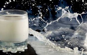 Argumentan que los alimentos solo pueden llamarse “leche” si son resultado de la lactancia y “carne” si vienen de un animal sacrificado. 