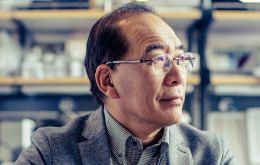 Japón en marzo dio luz verde para que el científico Hiromitsu Nakauchi, pueda desarrollar órganos humanos en animales a raíz de células madre humanas