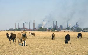 Las industrias y la ganadería generan gases de efecto invernadero que causan el calentamiento global.