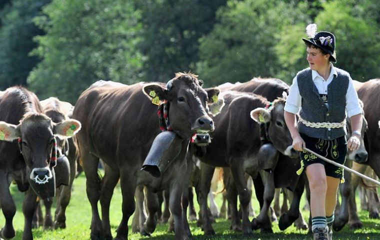 En Alemania, algunos políticos han propuesto aumentar el impuesto a las ventas de productos de carne para financiar mejores condiciones de vida del ganado
