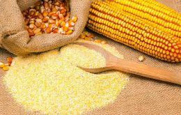 Las compras de harina de maíz por parte de Perú, crecieron en los primeros siete meses del año un 345% frente al mismo periodo del año pasado