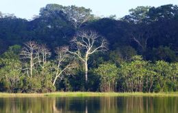 La situación en la Amazonía peruana “está controlada” y el incendio más próximo se ubica a poco más de 500 kilómetros de distancia de la región amazónica peruana