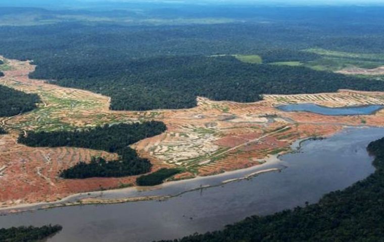La agencia espacial INPE de Brasil dijo que la deforestación alcanzó los 9.76kms cuadrados, un alza de un 29,5% durante 12 meses a julio de 2019. 