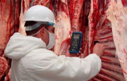 Durante 2018, la Federación Rusa fue el segundo destino en volumen de exportaciones de carne vacuna argentina, con más de 42.000 toneladas enviadas