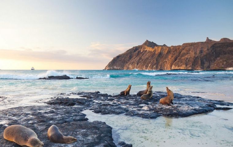 Las islas Galápagos fueron declaradas en 1978 como Patrimonio Natural de la Humanidad por la UNESCO