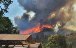 En la Región de O’Higgins destaca el incendio forestal “Parral de Purén 1” que se mantiene activo y consume una superficie aproximada de 496 hectáreas