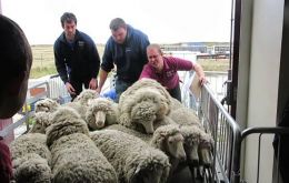 El Departamento de Recursos Naturales ha sido autorizado a desarrollar un programa de compra de lanas de la actual zafra, a valores del 20 de marzo