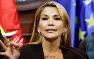Jeanine Yáñez acusó a Morales y al candidato de su partido, el ex ministro Luis Arce, de manipular a la Asamblea Legislativa para promulgar una “ley inmoral”