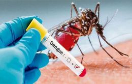 En 2019-2020 ”se está atravesando el brote de dengue de mayor magnitud que se haya registrado en Argentina, superando en 24,5% los casos de la temporada 2015/16