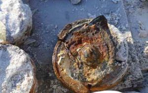 Entre otras, una mina israelí fue encontrada en el Campo 14