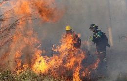El gobierno ha declarado la situación de desastre nacional ante la magnitud de los incendios forestales en varias regiones del país