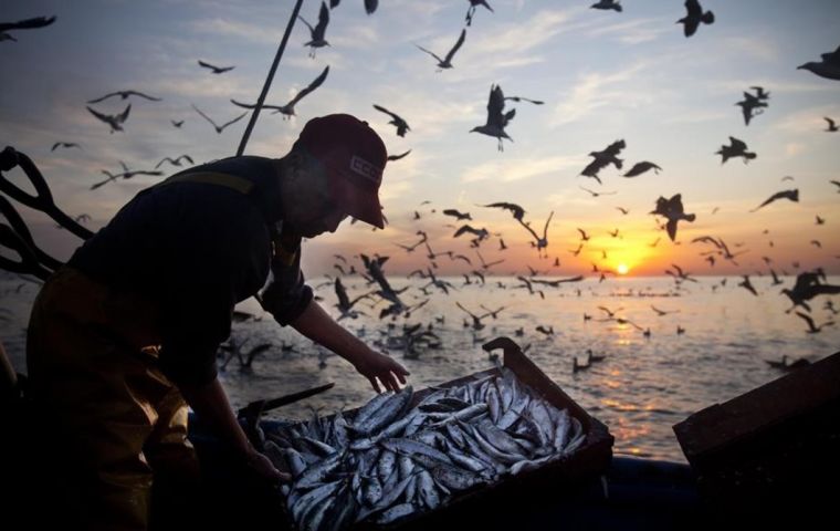 El seminario web busca ofrecer una mirada general de cómo la industria pesquera se ha visto afectada por la pandemia durante 2020