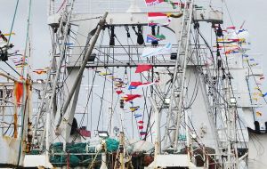 Según FIFCA, más del 90% de las exportaciones de pesca de las Islas van a la UE y algo como el 60% de los ingresos públicos proviene de la industria de la pesca 