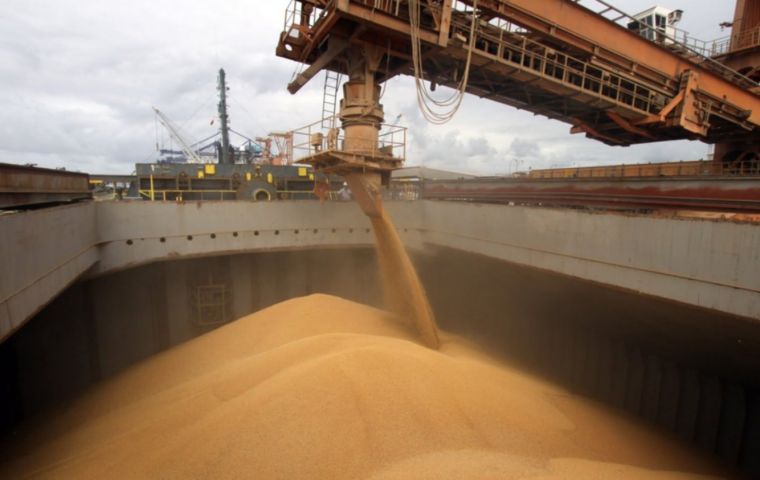 Según Indec, las exportaciones de noviembre mostraron una caída muy fuerte en las ventas de porotos de soja, maíz, trigo y carne