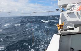 CFL ha fortalecido su compromiso de cumplir con los más altos estándares ambientales en sus prácticas de pesca