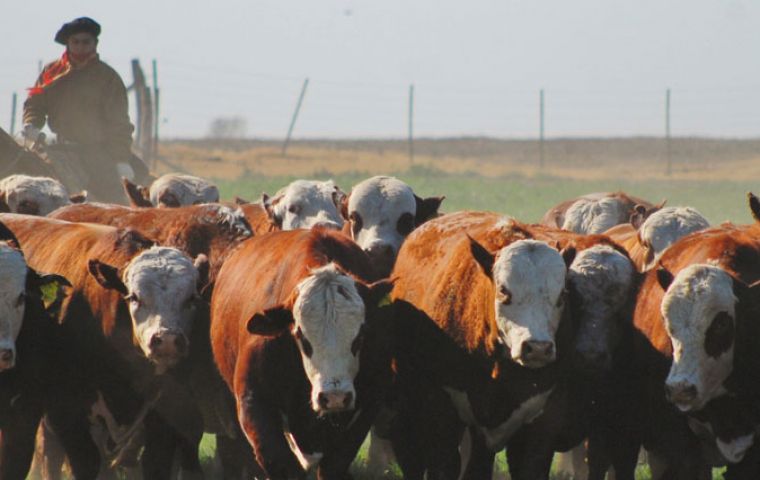 El objetivo de la medida es “mejorar el seguimiento de las exportaciones de carne vacuna y el suministro al mercado interno”, dijo el gobierno en un comunicado.