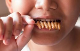 Comer gusanos podría traer ventajas medioambientales (Foto:Shutterstock) 