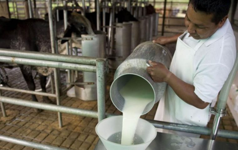 Los productores de leche argentinos exigen reglas más claras y pronto podría escasear el producto.
