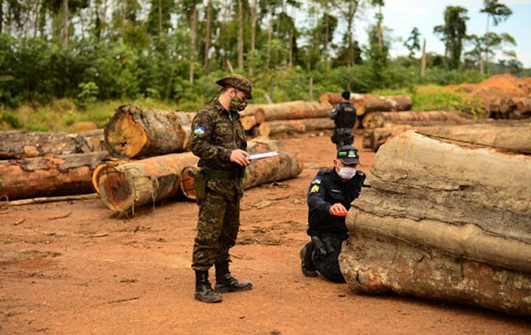 La deforestación ha aumentado después de la elección de Bolsonaro en 2018