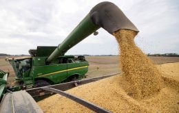 El área plantada con soja en EE.UU. fue casi 600,000 hectáreas inferior a las las proyecciones del mercado, según un nuevo informe de la USDA.