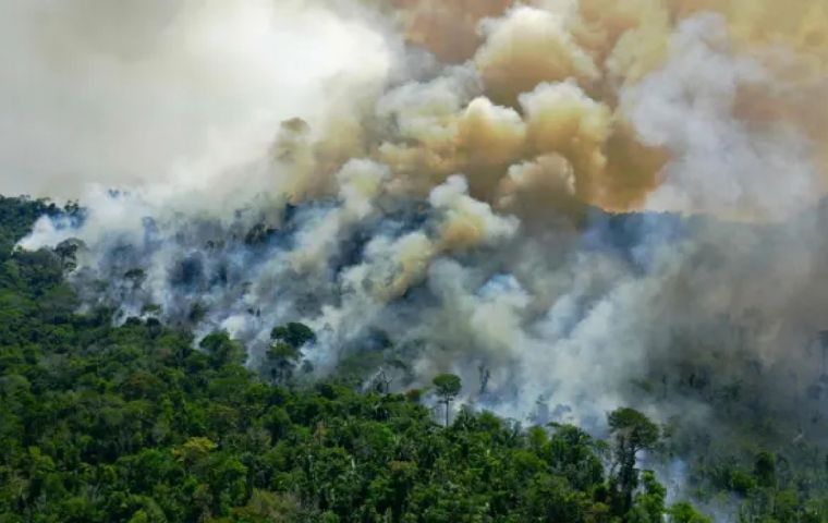 Los incendios forestales y selváticos han alcanzado récords históricos bajo Bolsonaro