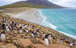 MLA Leona Roberts dijo que es una estrategia de importancia crucial para las Islas Falkland. Es un trabajo “para alcanzar nuestra visión de un futuro sustentable y biodiverso”.