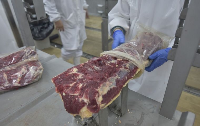 El precio internacional de la carne se encuentra en valores excepcionalmente altos debido al mercado chino ”y al cese de exportaciones por parte de Argentina”