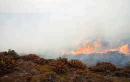 Fotos del los campos del establecimiento Murrell incendiado y del humo de los pastizales (Foto FIFireAndRescue) 