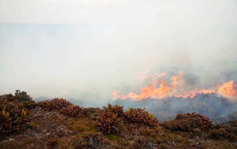 Fotos del los campos del establecimiento Murrell incendiado y del humo de los pastizales (Foto FIFireAndRescue) 