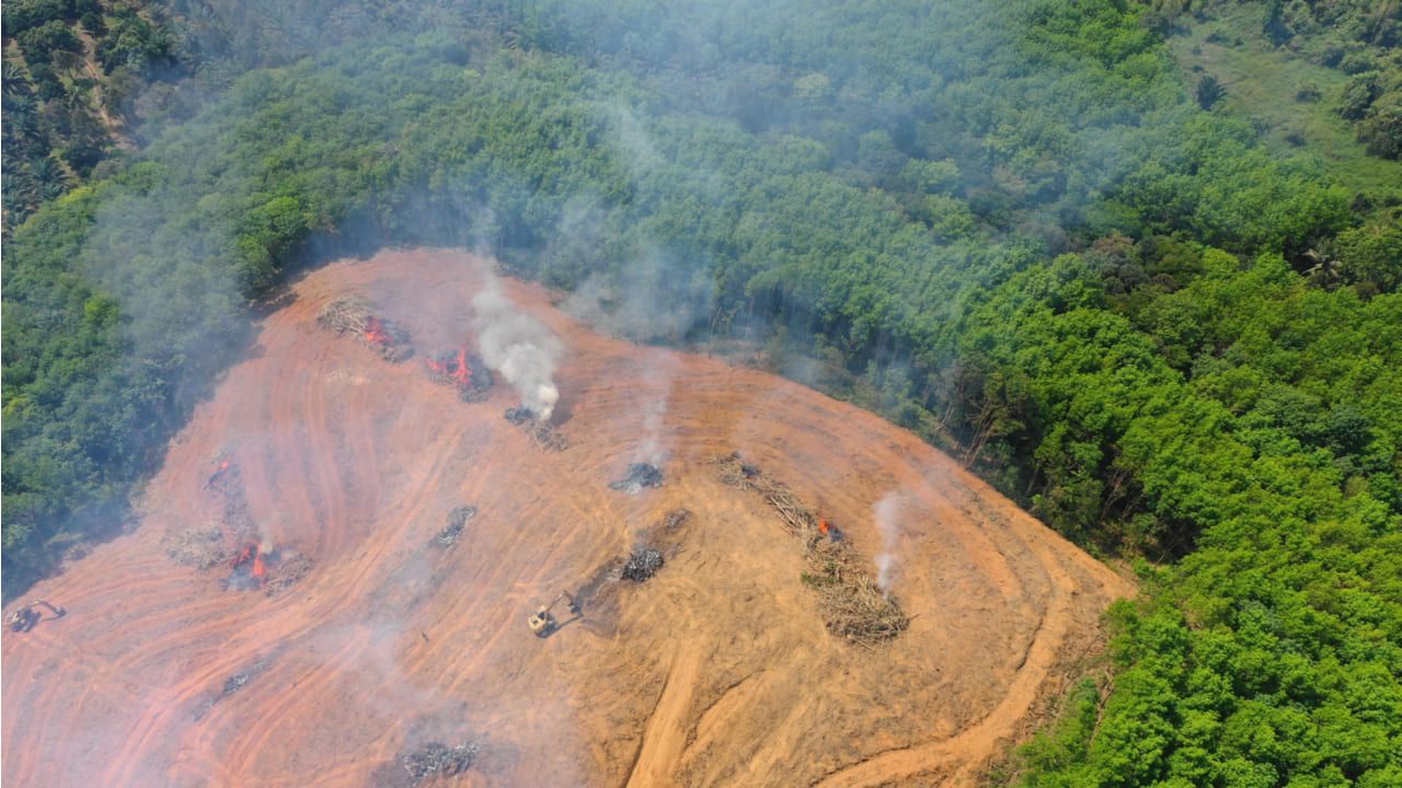 Amazonía brasileña muestra signos de aumento en la deforestación a pesar de las promesas