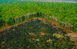 A Marfrig se le retiró un préstamo de US$ 200 millones del BID, supuestamente por estar fomentando la deforestación en el Amazonas.  