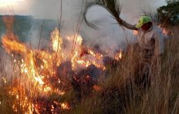 Los devastadores incendios forestales que afectaron últimamente a la provincia de Corrientes