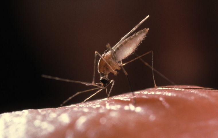 En 2018, Paraguay fue certificado por la Organización Mundial de la Salud (OMS), como país libre de transmisión autóctona de malaria