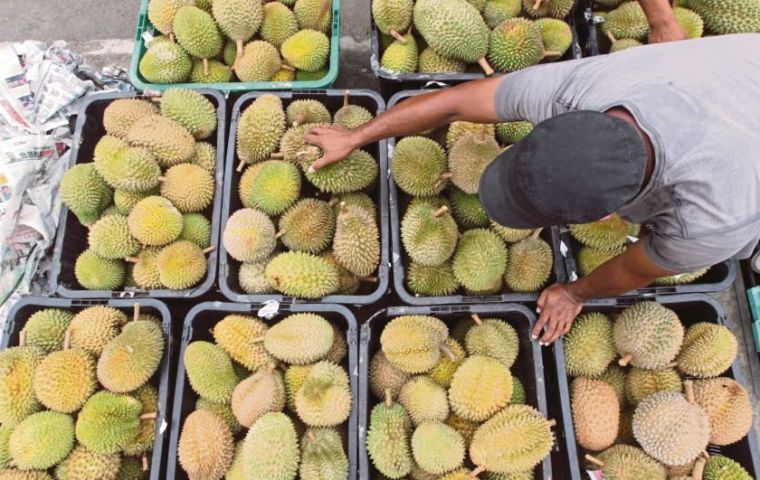La exportación de frutas a China ya no es como antes