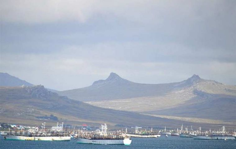  Poteros en la rada del puerto de Stanley en los días que pasan a retirar las licencias de pesca (Foto PN)